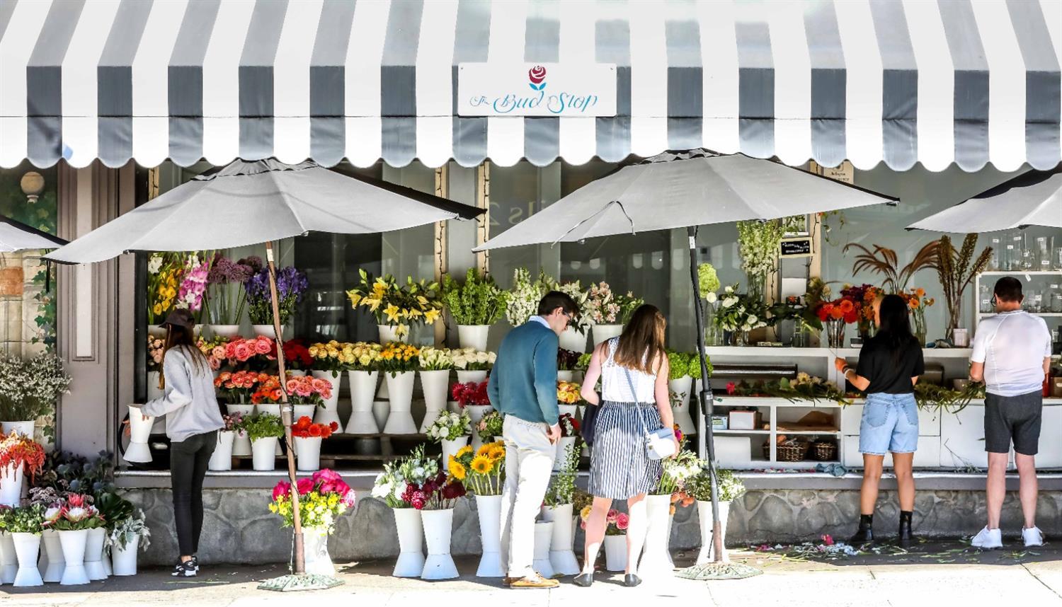 3321 Octavia Street San Francisco, CA 94123 - Photo 59 of 88