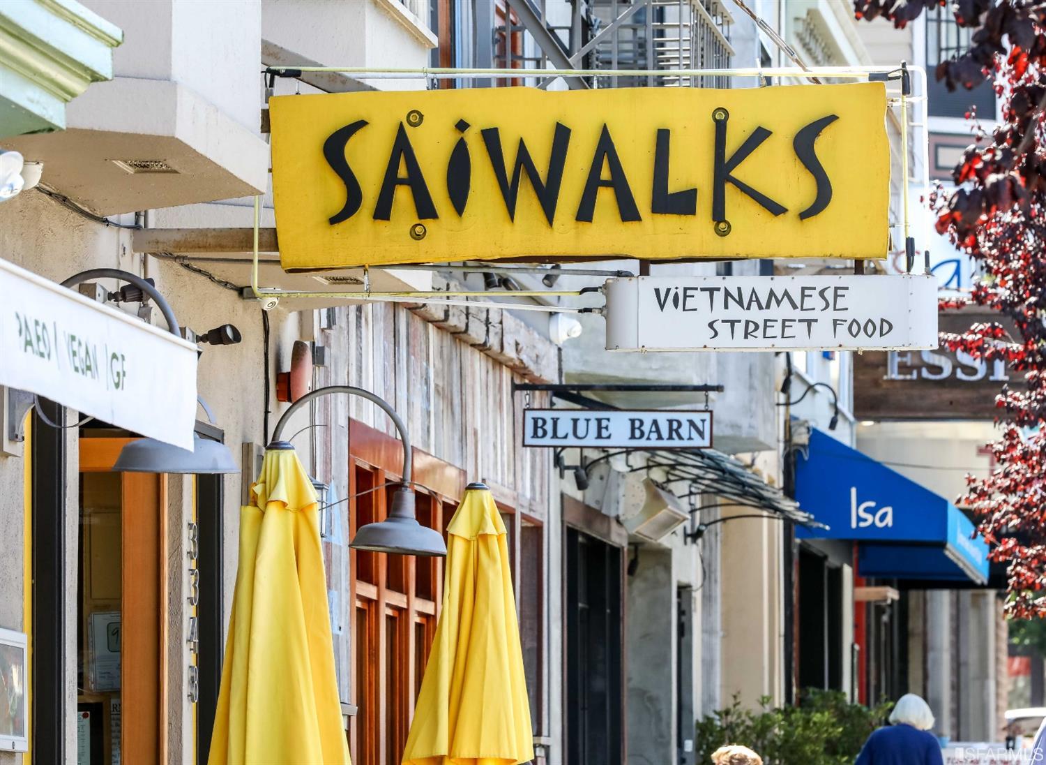 3321 Octavia Street San Francisco, CA 94123 - Photo 71 of 88