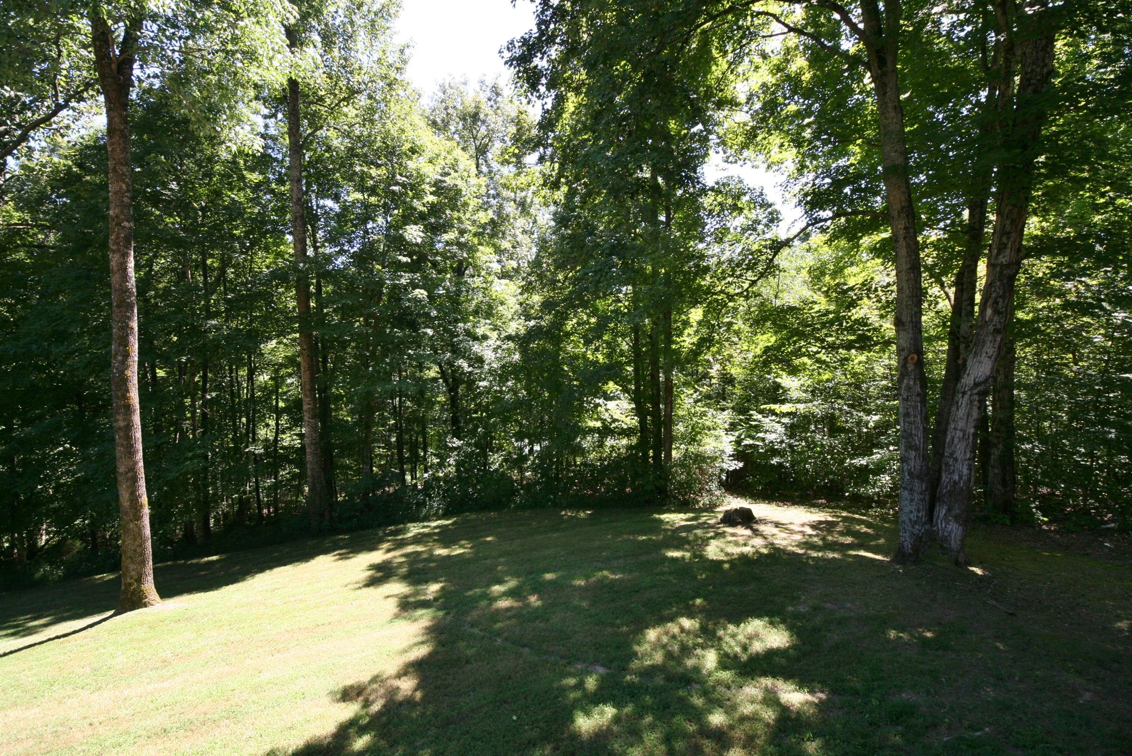 239 Union Ridge Road Wartrace, TN 37183 - Photo 26 of 30 Front yard