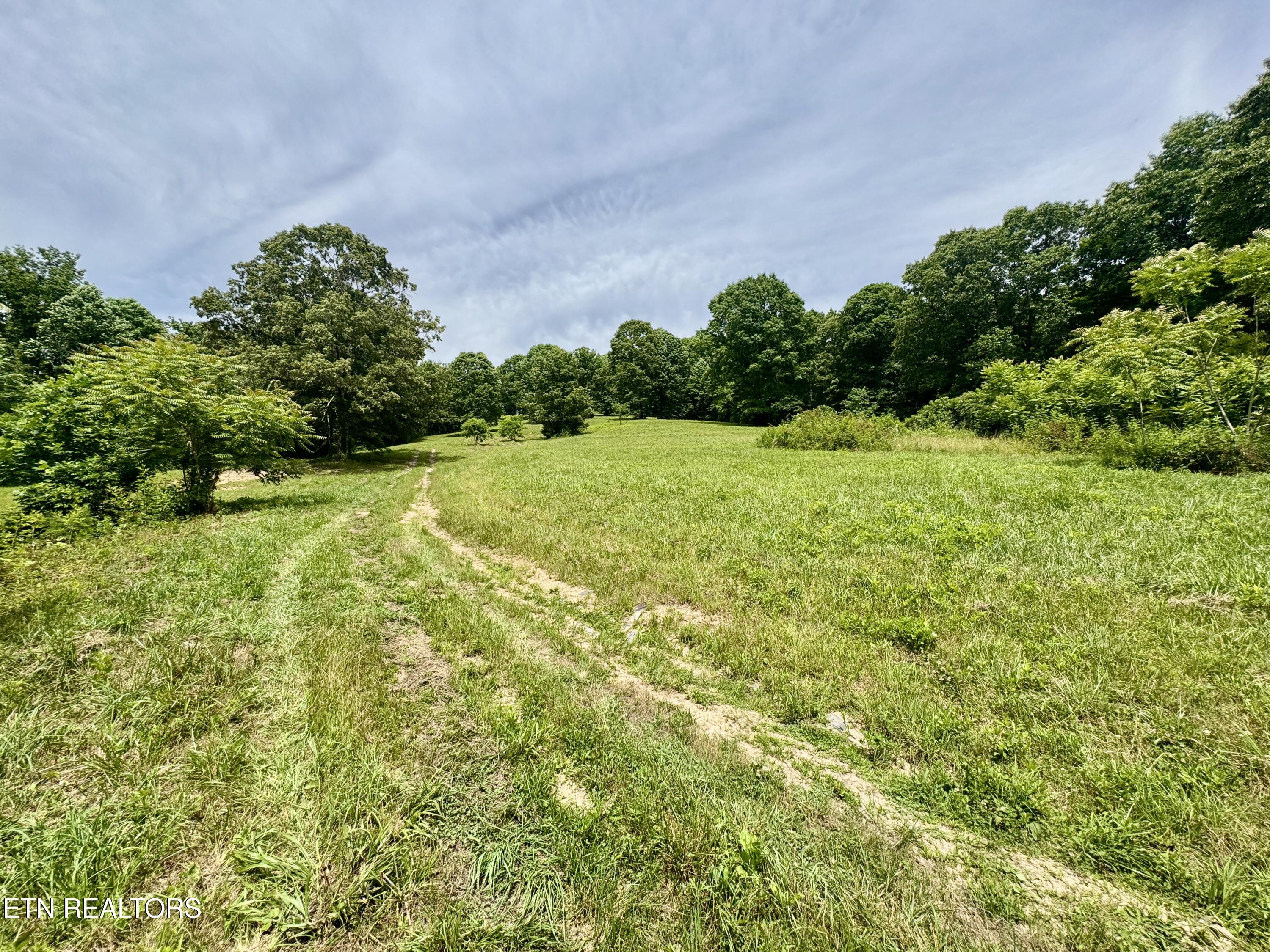 378 Johnson Hollow Road New Tazewell, TN 37825 - Photo 7 of 35 1-7