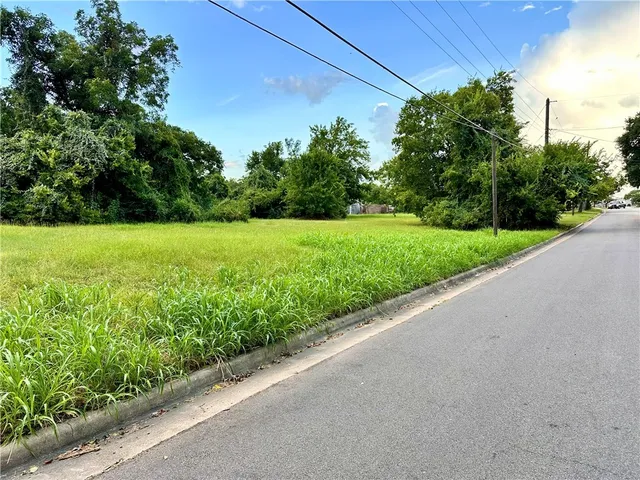a view of a yard with potted plants