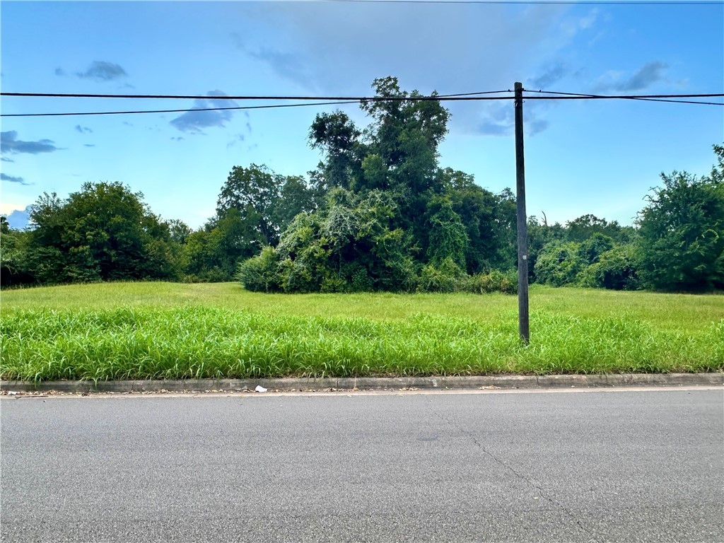 0 Hall Street Bryan, TX 77803 - Photo 12 of 13 a view of a garden and basketball court