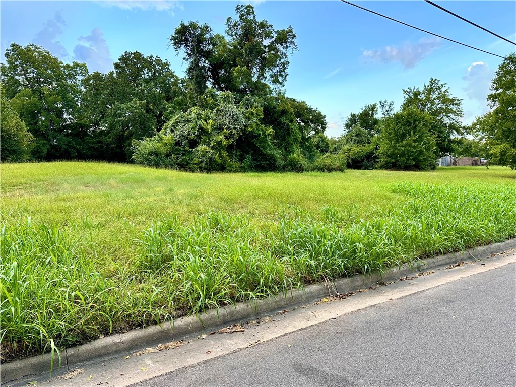 0 Hall Street Bryan, TX 77803 - Photo 5 of 13 a view of a yard with a trees