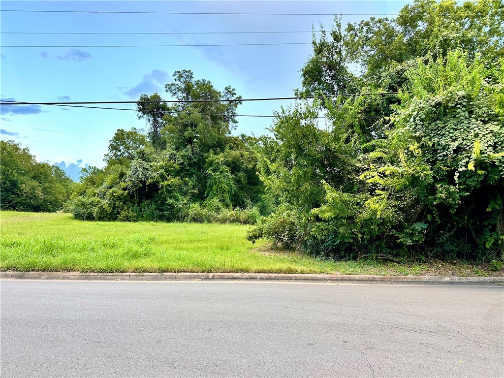 0 Hall Street Bryan, TX 77803 - Photo 9 of 13 a backyard of a house with lots of green space