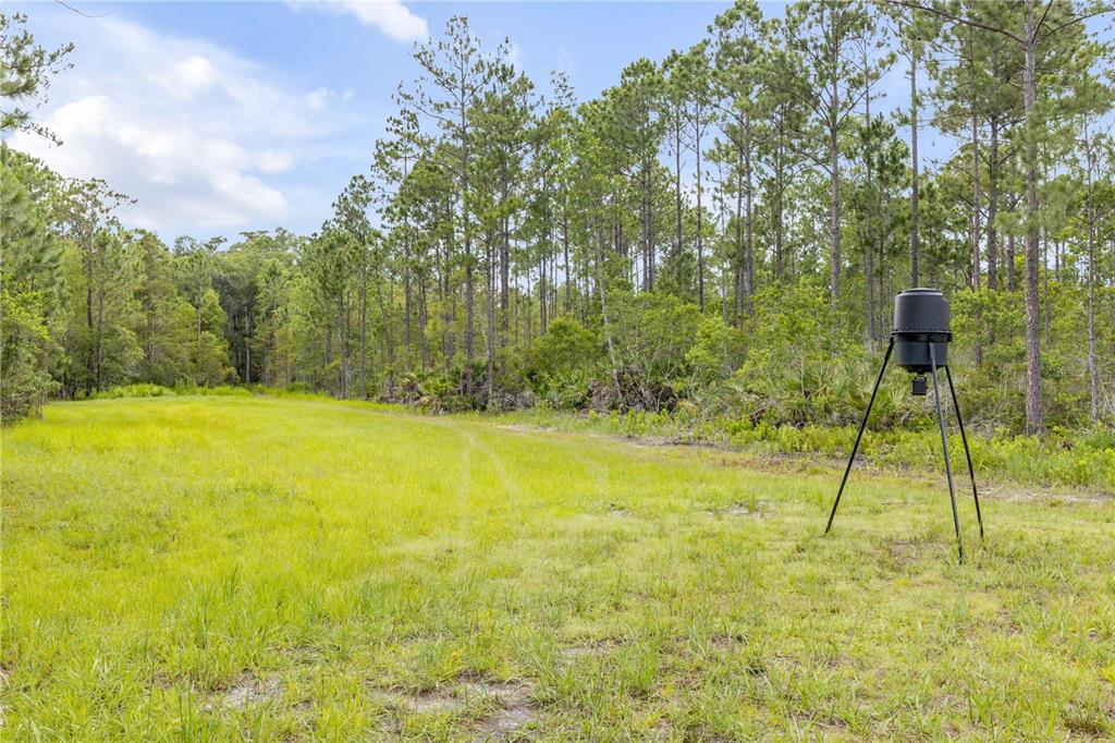 300 Omega Ranch Road Deltona, FL 32738 - Photo 69 of 95