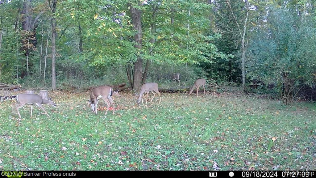 Vl Rattle Run Road St. Clair, MI 48079 - Photo 29 of 45 Gallery Image 29