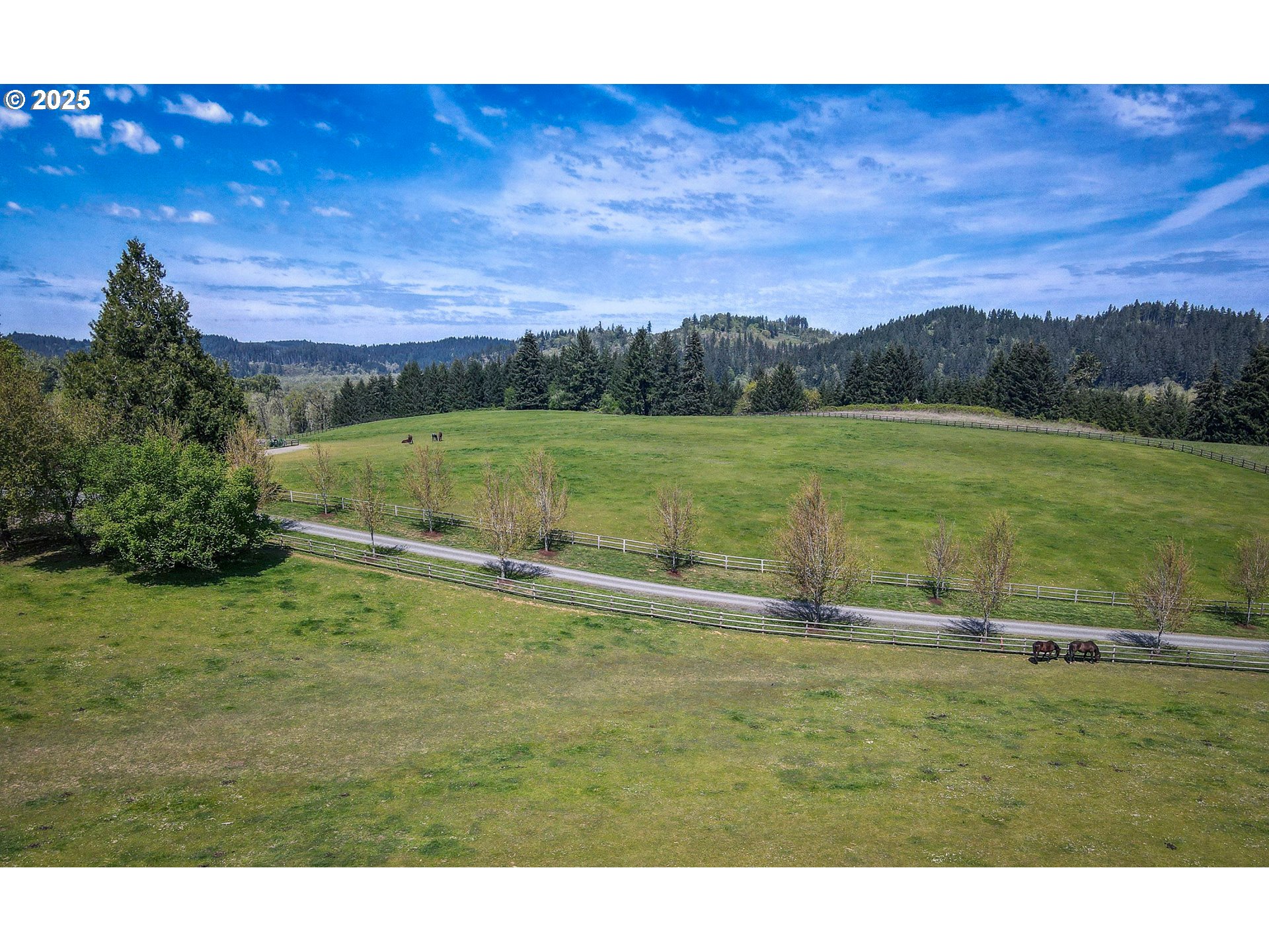 27716 Erickson Road Eugene, OR 97402 - Photo 34 of 40 a view of a lake with a yard
