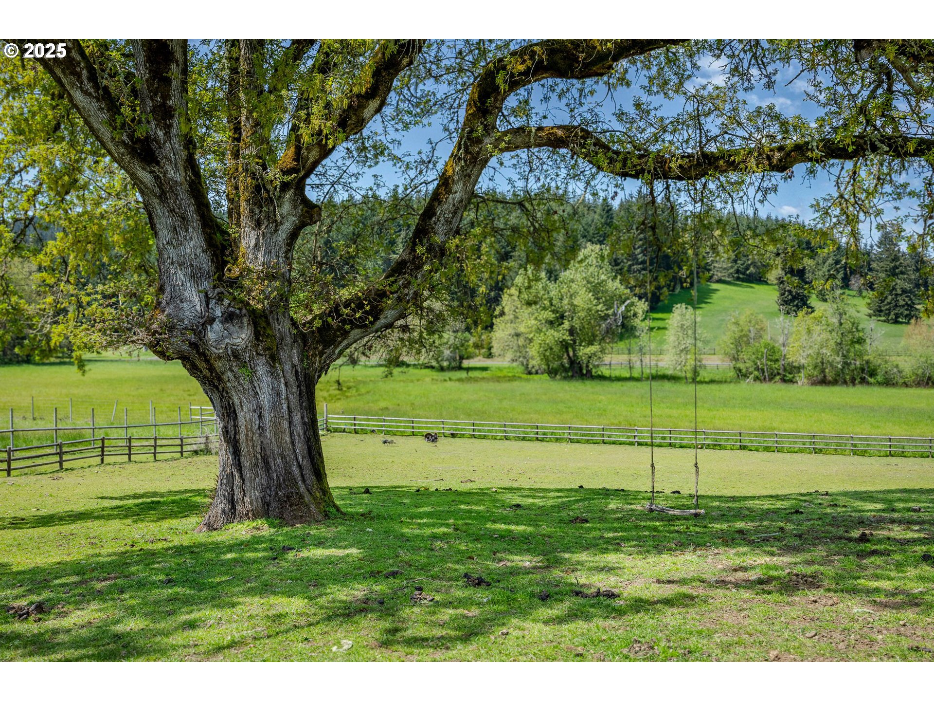 27716 Erickson Road Eugene, OR 97402 - Photo 35 of 40 a view of a field with a tree in the background
