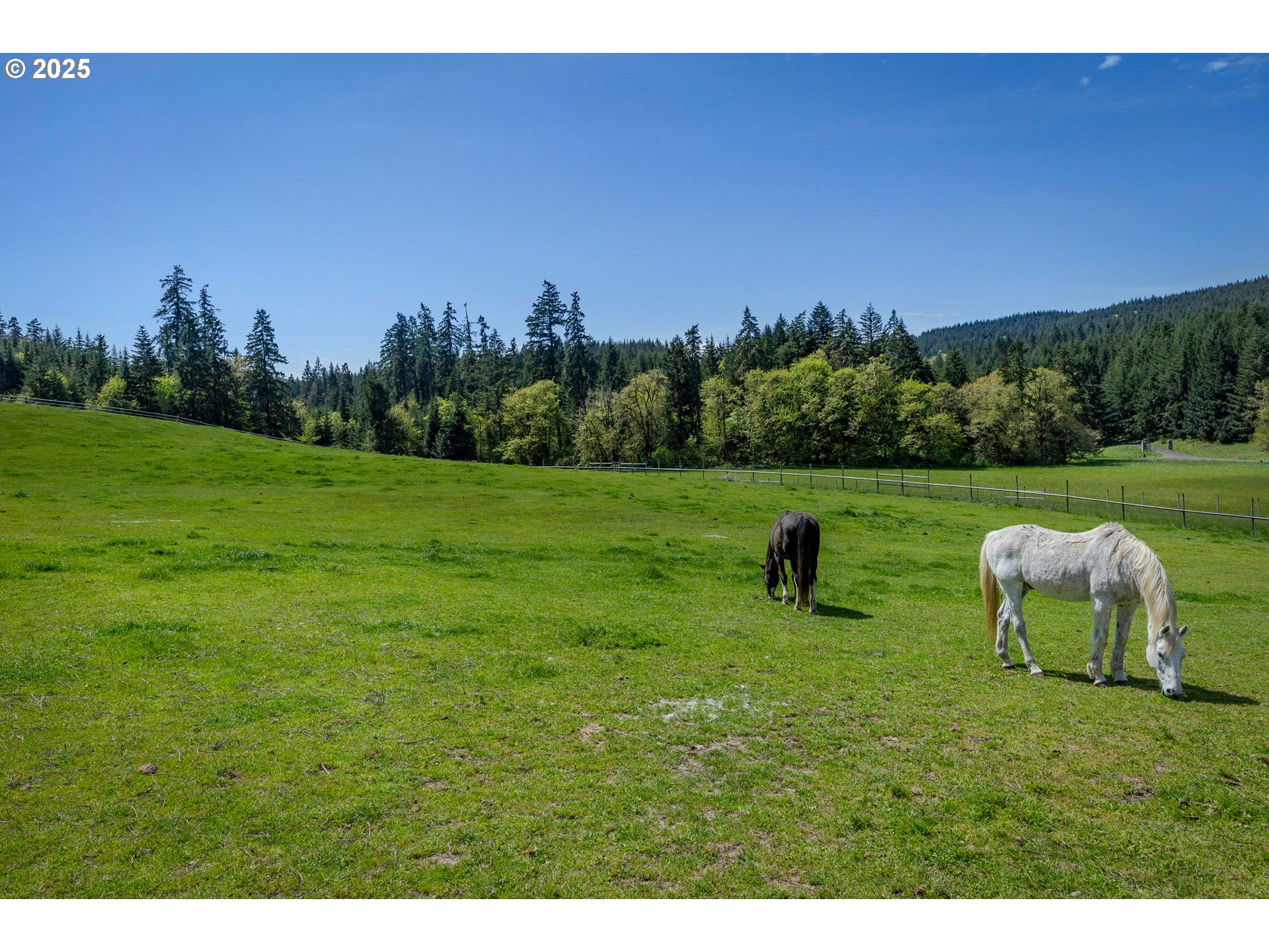 27716 Erickson Road Eugene, OR 97402 - Photo 36 of 40 a view of outdoor space with deck and yard