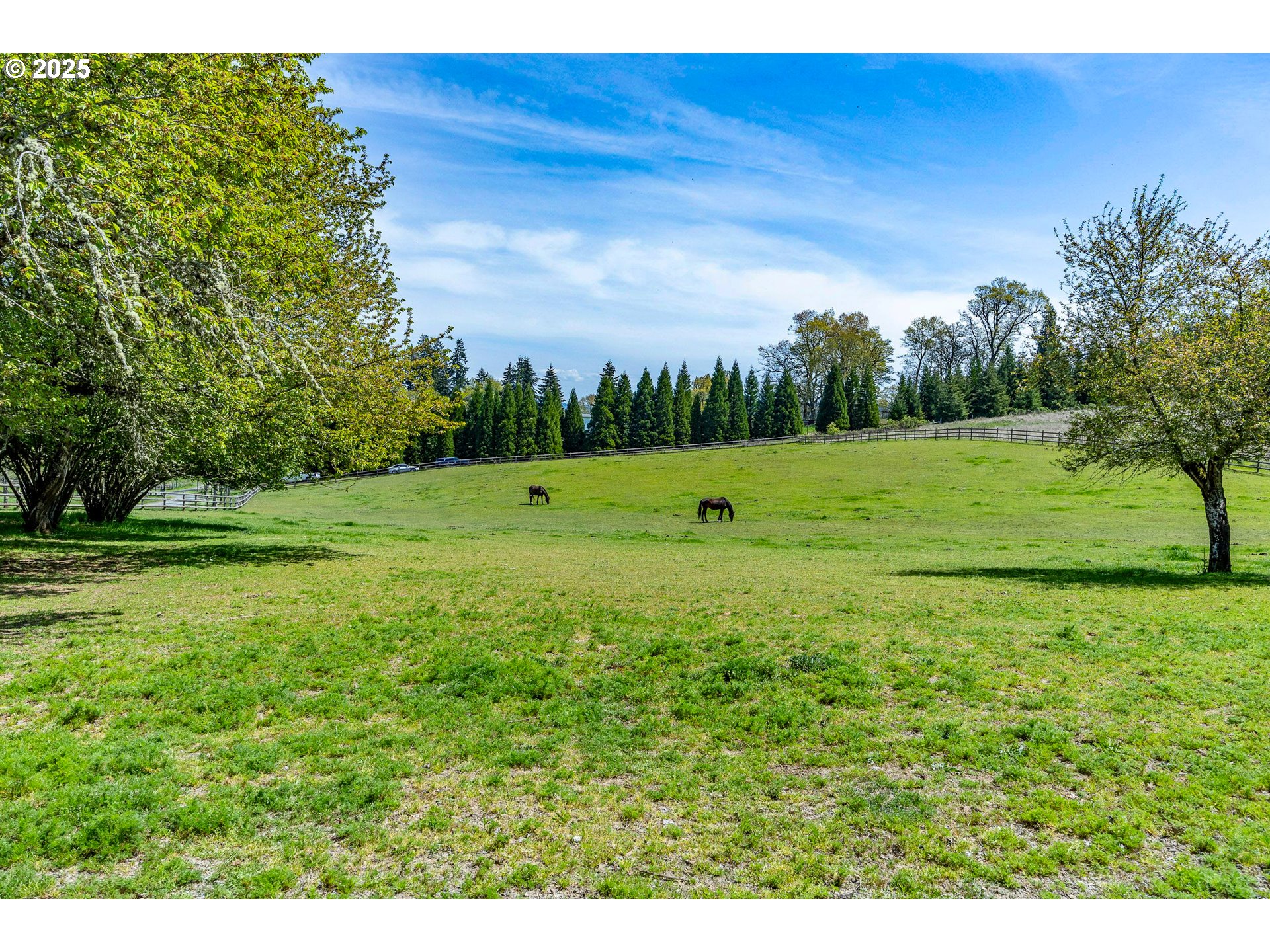 27716 Erickson Road Eugene, OR 97402 - Photo 38 of 40 a view of field with trees in the background