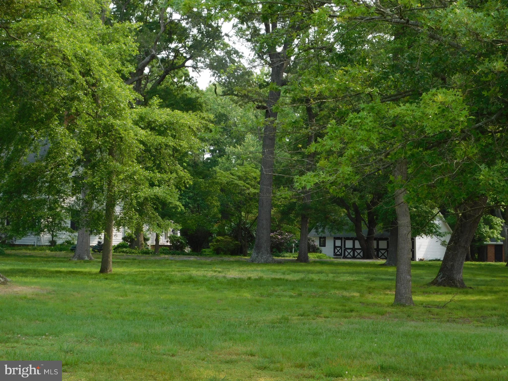 553 Coon Den Road Harrington, DE 19952 - Photo 50 of 52