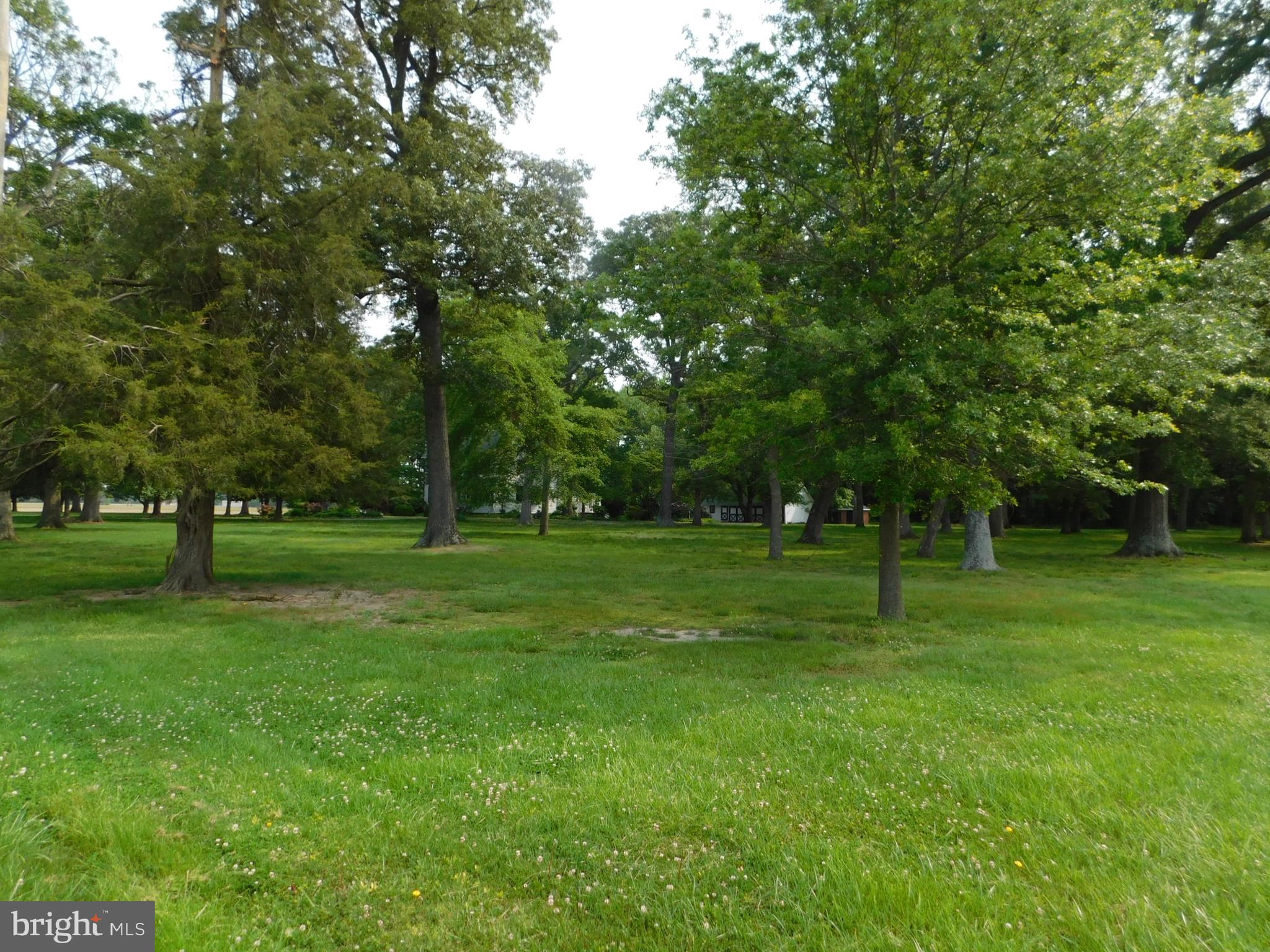 553 Coon Den Road Harrington, DE 19952 - Photo 51 of 52