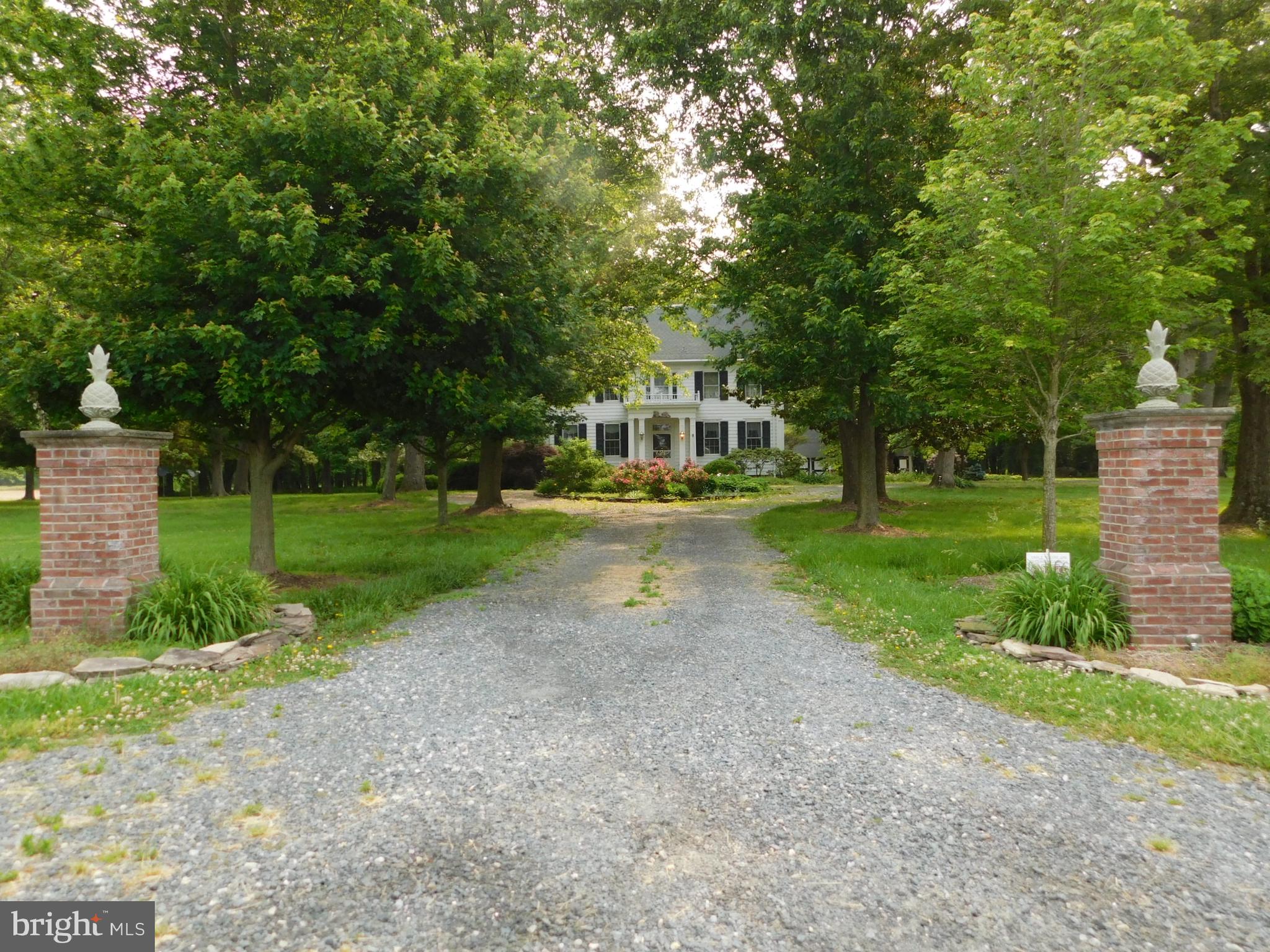 553 Coon Den Road Harrington, DE 19952 - Photo 52 of 52