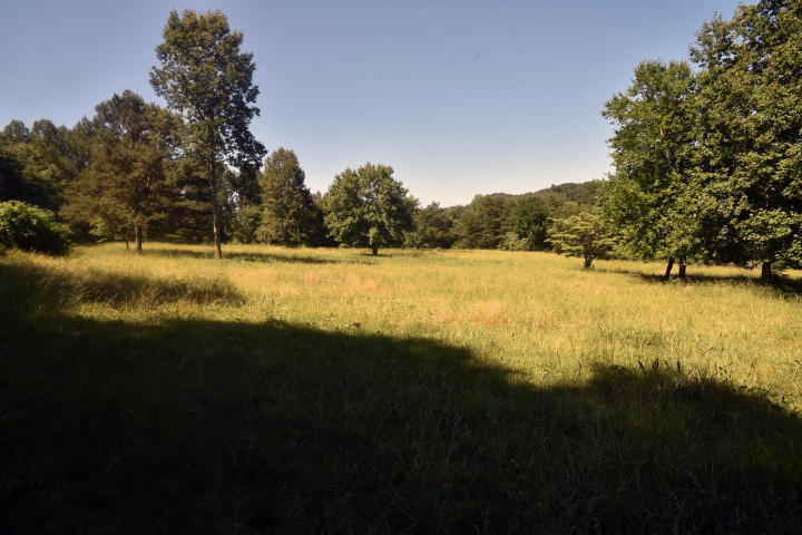 2413 Chimney Ridge Road Knoxville, TN 37923 - Photo 10 of 40 20190401160108809538000000-o