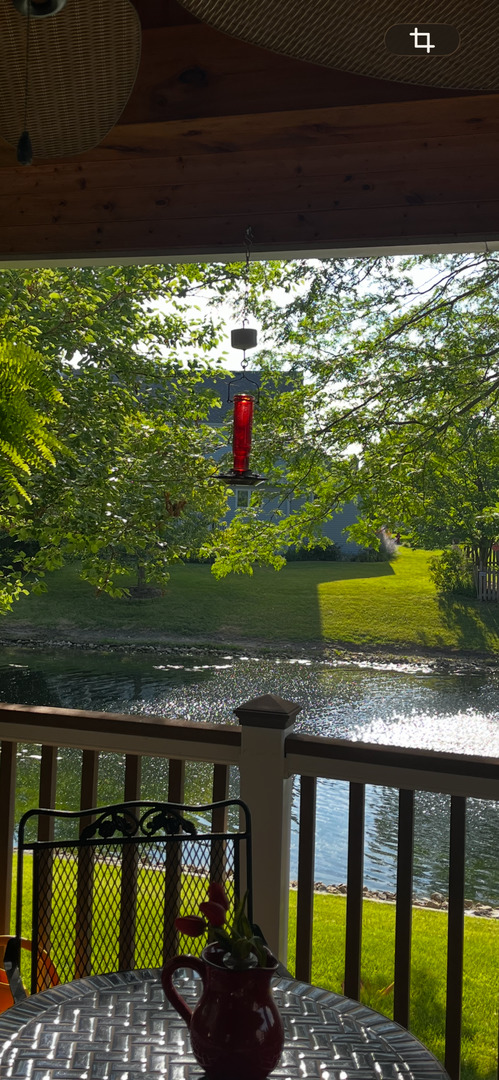 1700 Chestnut Hill Road Plainfield, IL 60586 - Photo 20 of 21