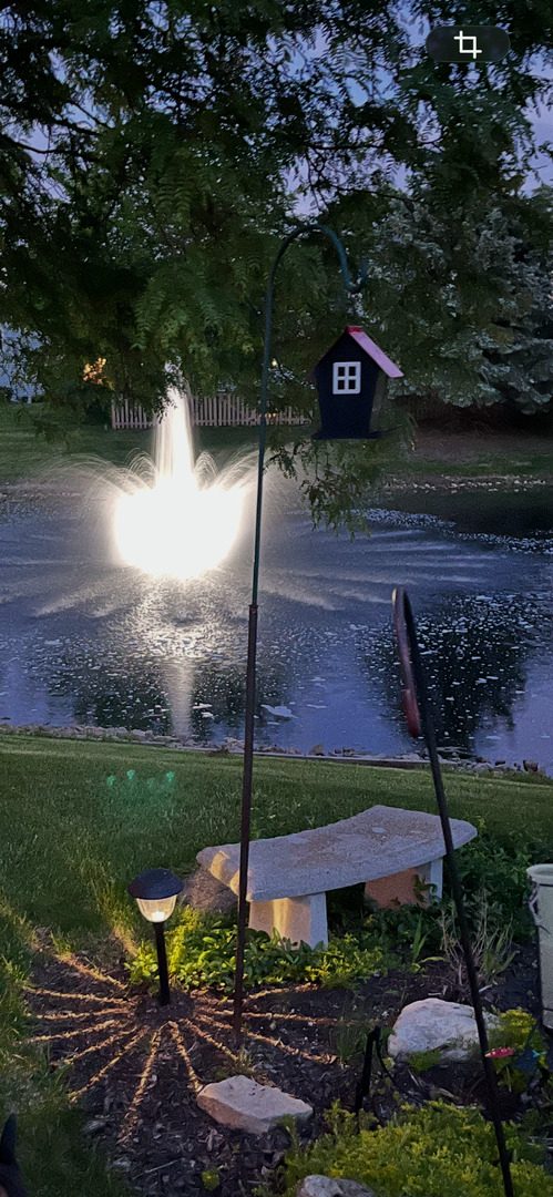 1700 Chestnut Hill Road Plainfield, IL 60586 - Photo 21 of 21