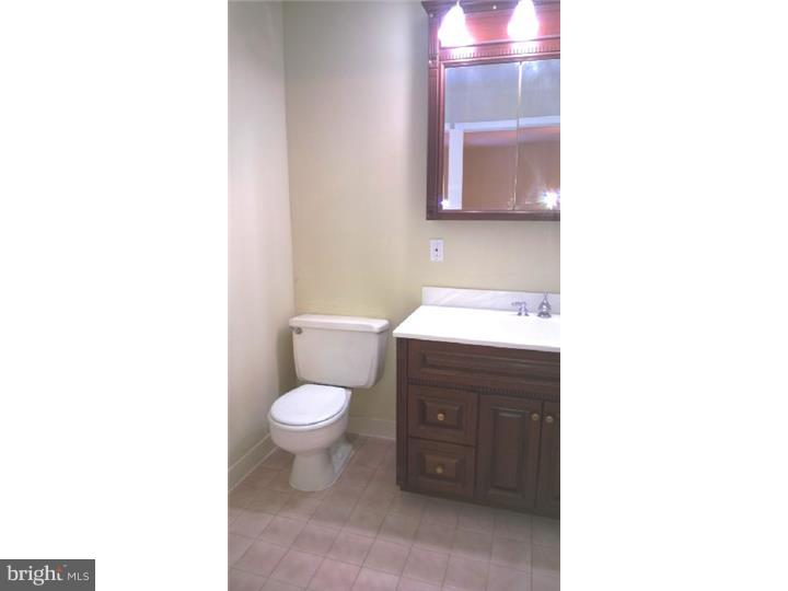1321 Meadowbrook Road Jenkintown, PA 19046 - Photo 12 of 24 Master Bathroom