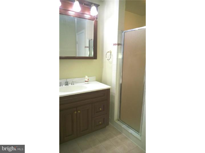 1321 Meadowbrook Road Jenkintown, PA 19046 - Photo 13 of 24 Master Bathroom