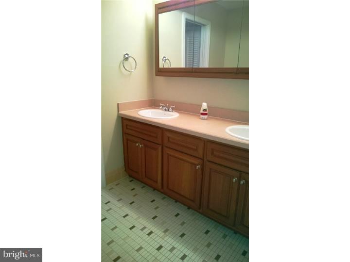 1321 Meadowbrook Road Jenkintown, PA 19046 - Photo 16 of 24 Bathroom