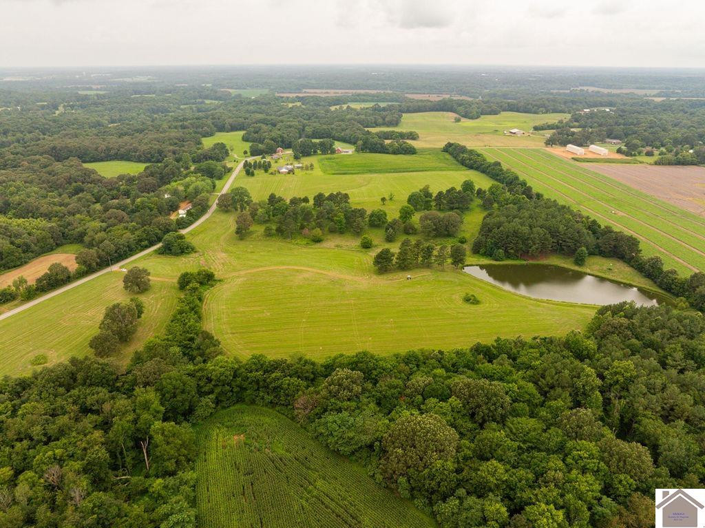 0 Almo-Shiloh Road Dexter, KY 42036 - Photo 2 of 7 Photo 2