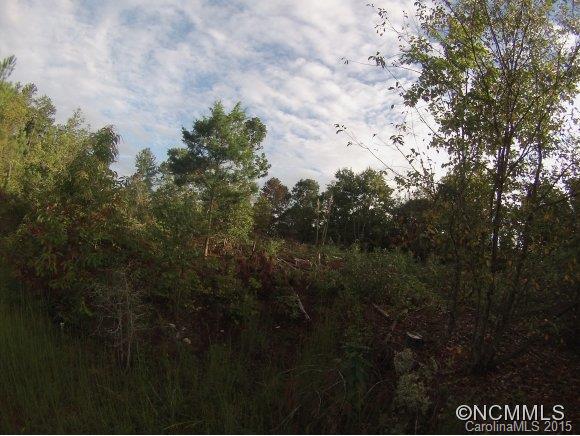 0 Little Al Lane Tryon, NC 28782 - Photo 6 of 10 Gallery Image 6