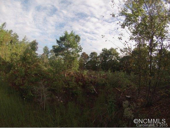 0 Little Al Lane Tryon, NC 28782 - Photo 7 of 10 Gallery Image 7