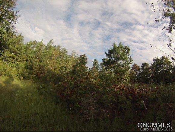 0 Little Al Lane Tryon, NC 28782 - Photo 8 of 10 Gallery Image 8