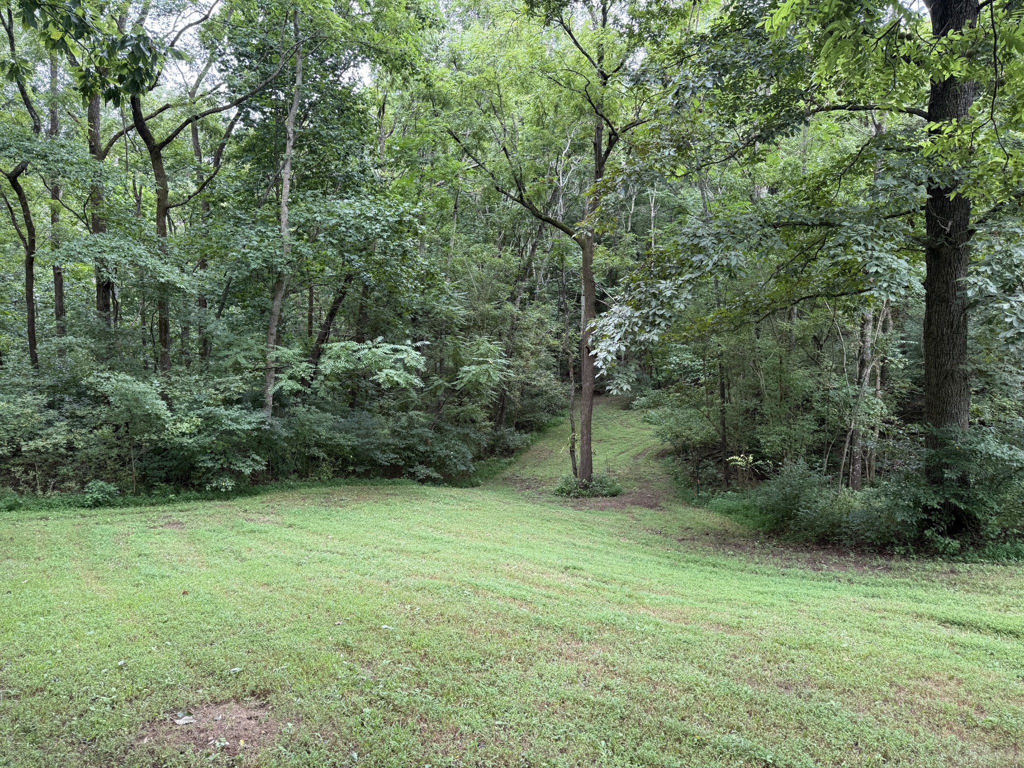 2309 Baptist Church Road Culleoka, TN 38451 - Photo 13 of 35 Gallery Image 13