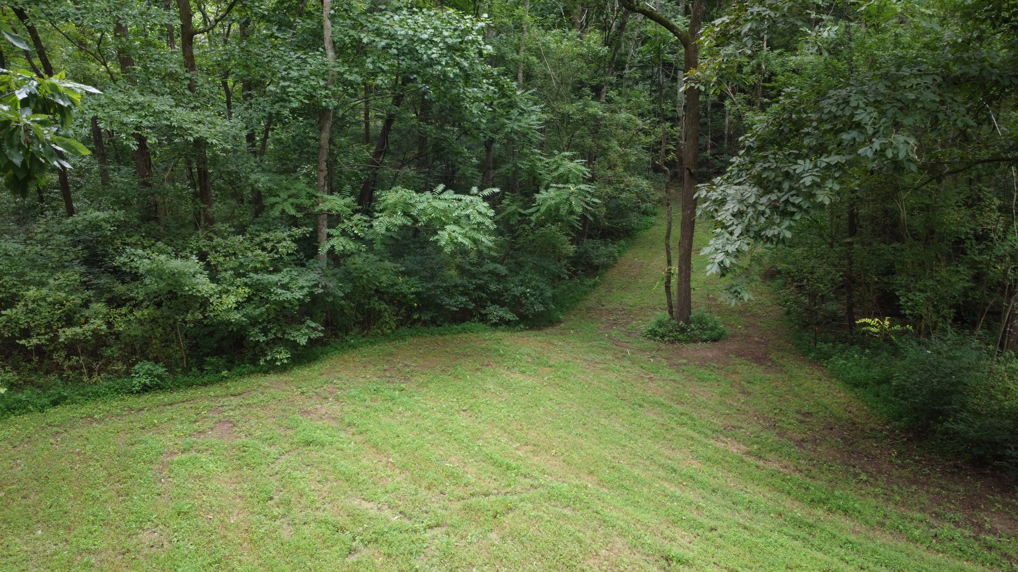 2309 Baptist Church Road Culleoka, TN 38451 - Photo 15 of 35 Gallery Image 15