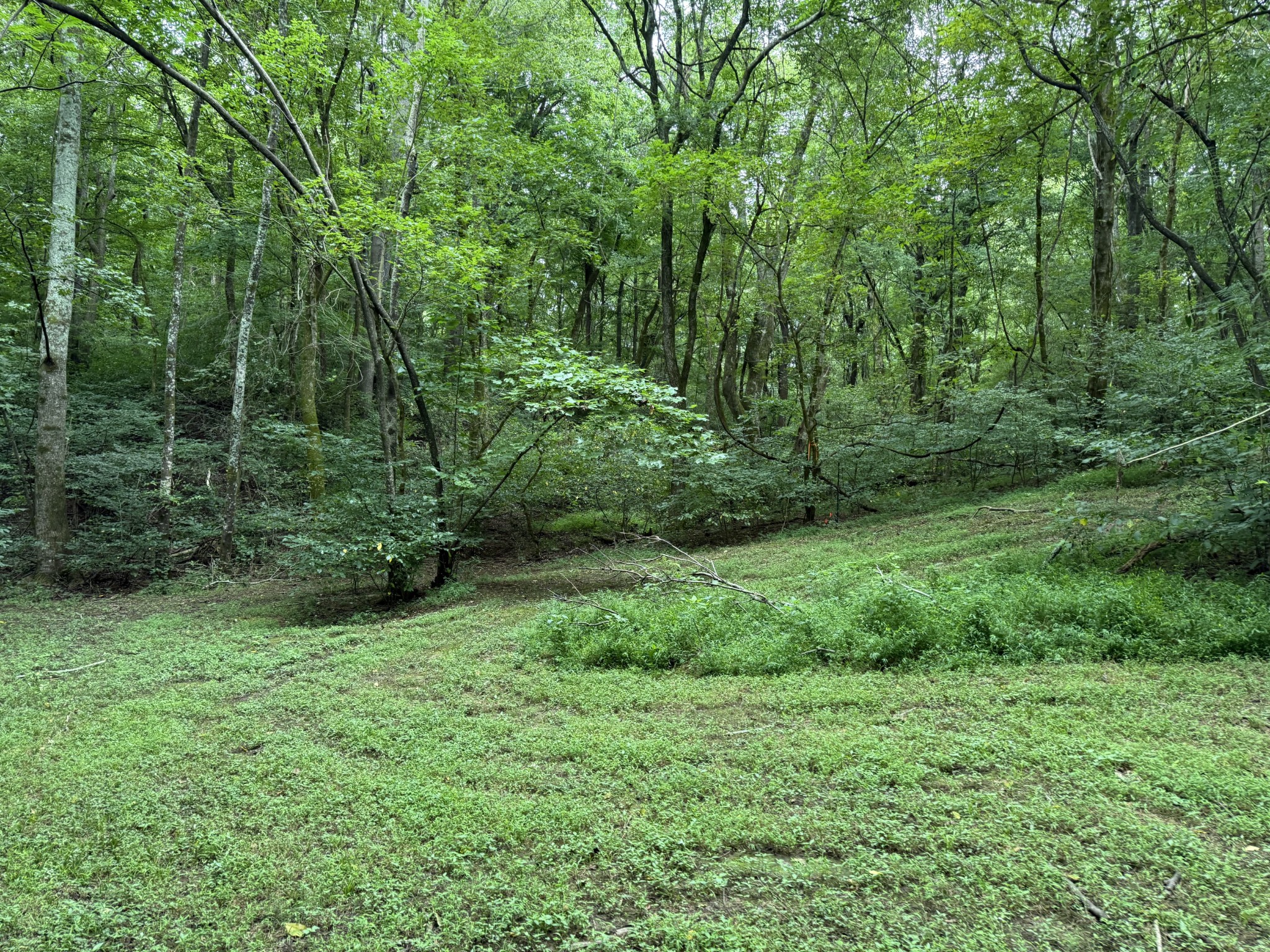 2309 Baptist Church Road Culleoka, TN 38451 - Photo 17 of 35 Gallery Image 17