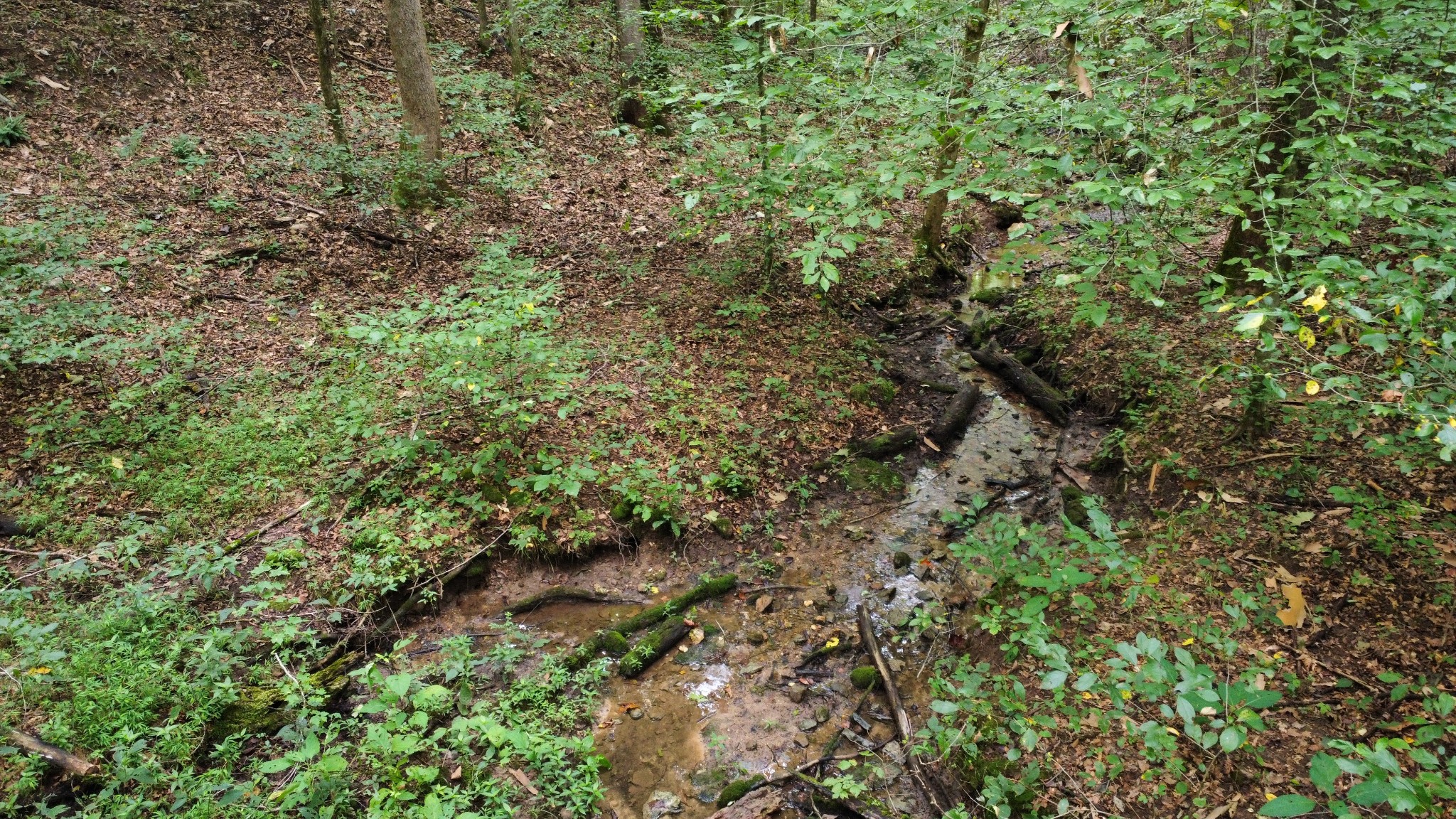 2309 Baptist Church Road Culleoka, TN 38451 - Photo 21 of 35 Gallery Image 21