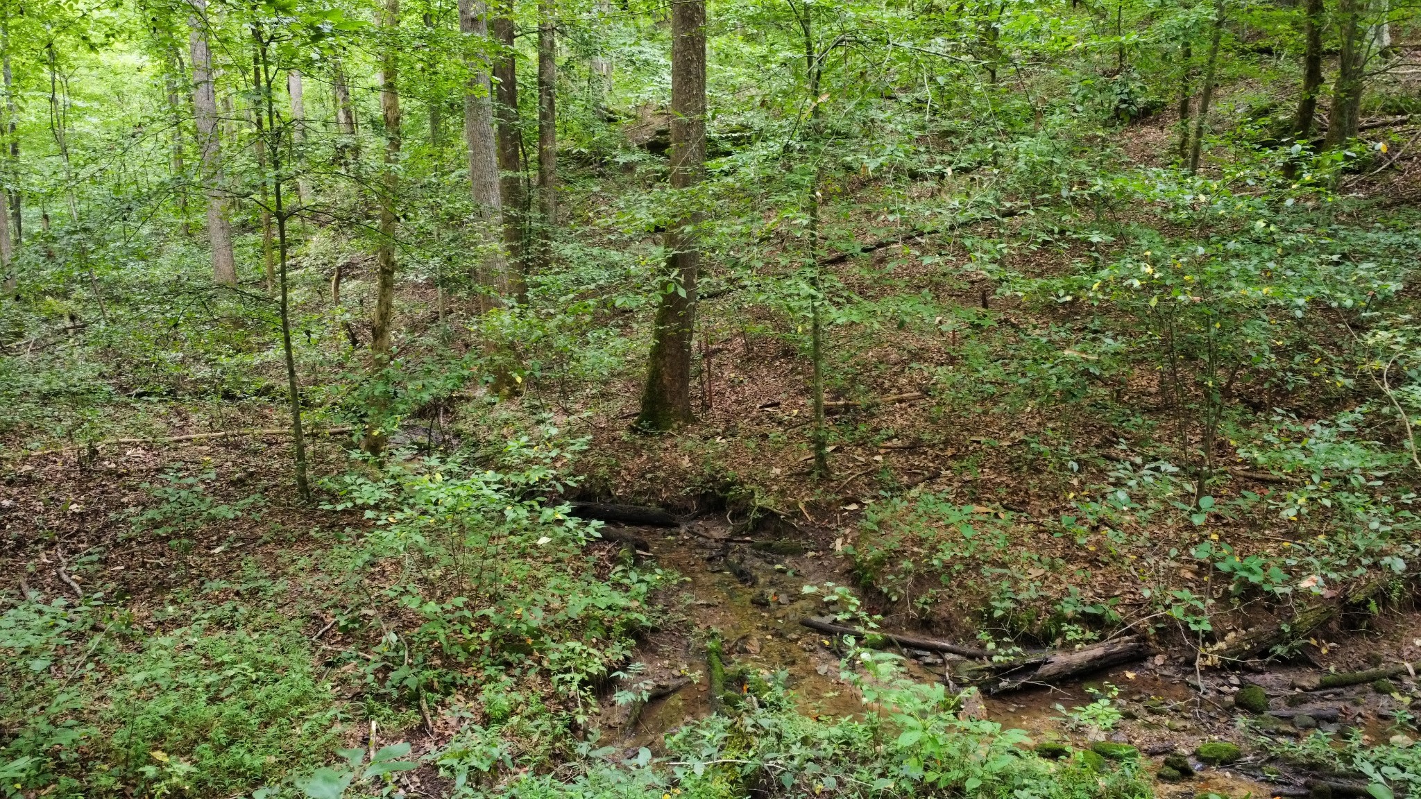 2309 Baptist Church Road Culleoka, TN 38451 - Photo 23 of 35 Gallery Image 23