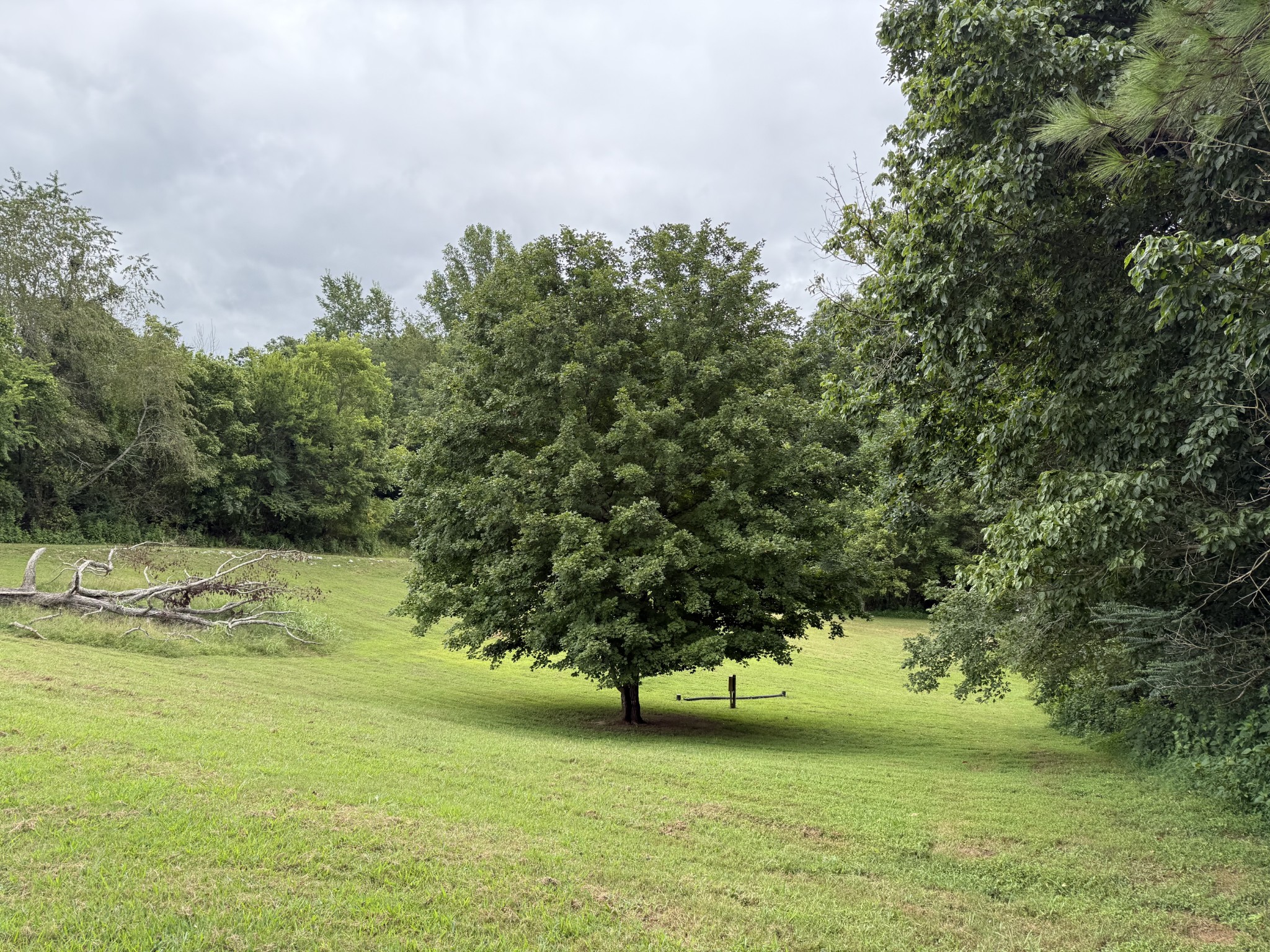 2309 Baptist Church Road Culleoka, TN 38451 - Photo 24 of 35 Gallery Image 24