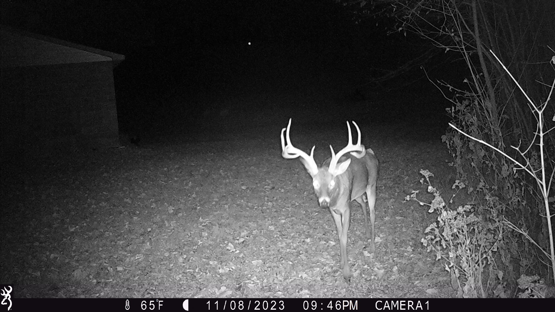 2309 Baptist Church Road Culleoka, TN 38451 - Photo 29 of 35 Gallery Image 29