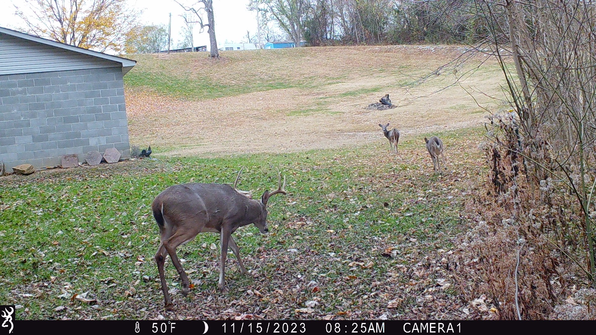 2309 Baptist Church Road Culleoka, TN 38451 - Photo 30 of 35 Gallery Image 30