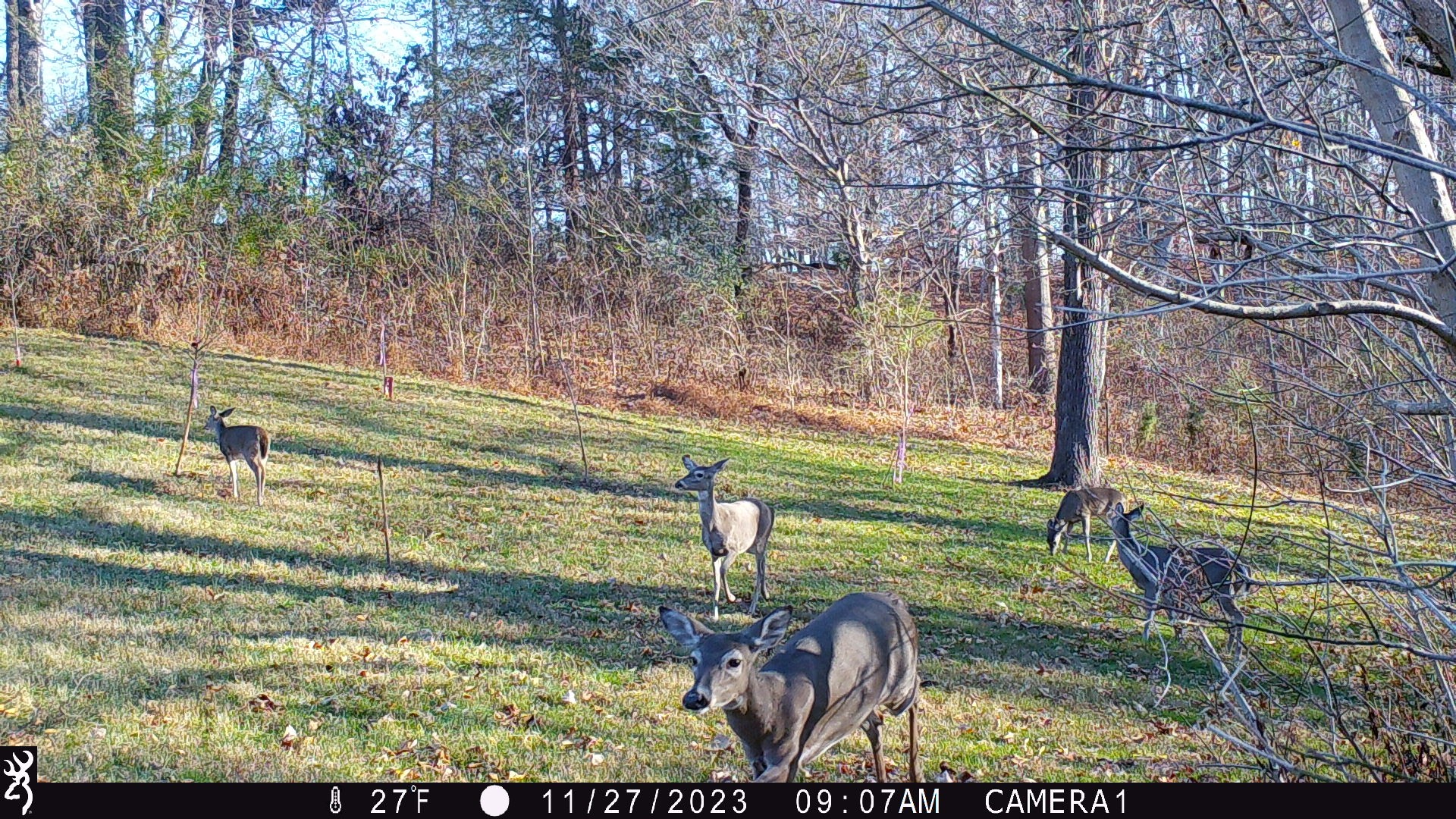 2309 Baptist Church Road Culleoka, TN 38451 - Photo 31 of 35 Gallery Image 31