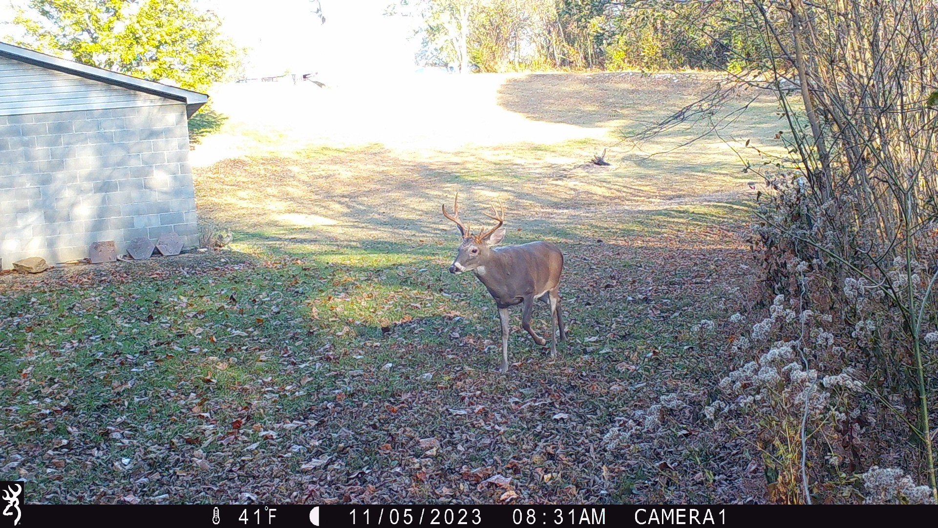 2309 Baptist Church Road Culleoka, TN 38451 - Photo 32 of 35 Gallery Image 32