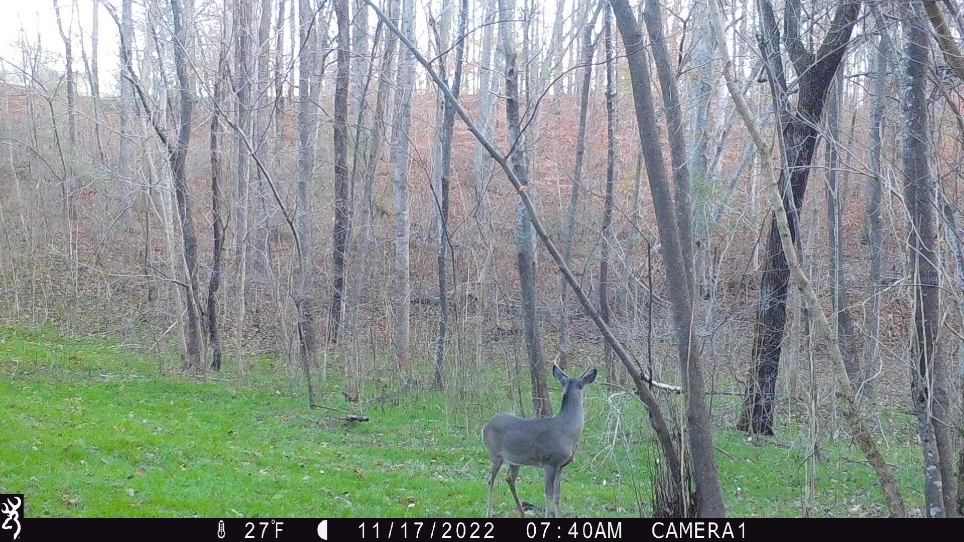 2309 Baptist Church Road Culleoka, TN 38451 - Photo 33 of 35 Gallery Image 33