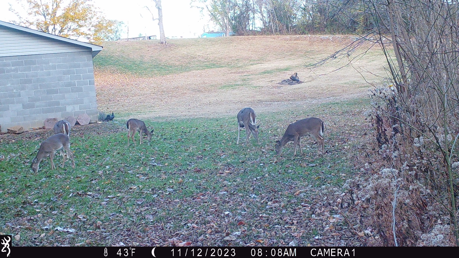 2309 Baptist Church Road Culleoka, TN 38451 - Photo 34 of 35 Gallery Image 34
