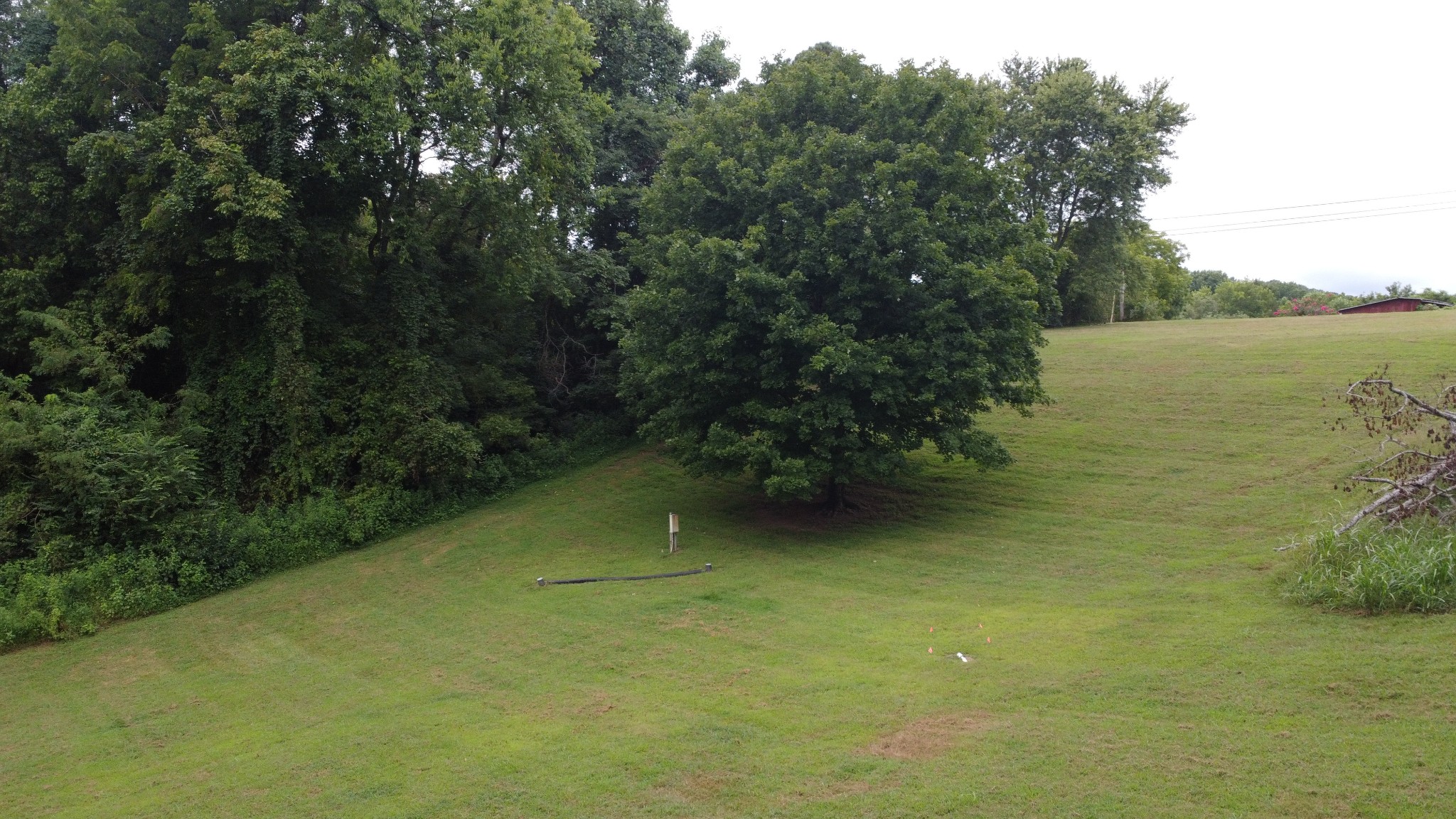 2309 Baptist Church Road Culleoka, TN 38451 - Photo 4 of 35 Gallery Image 4
