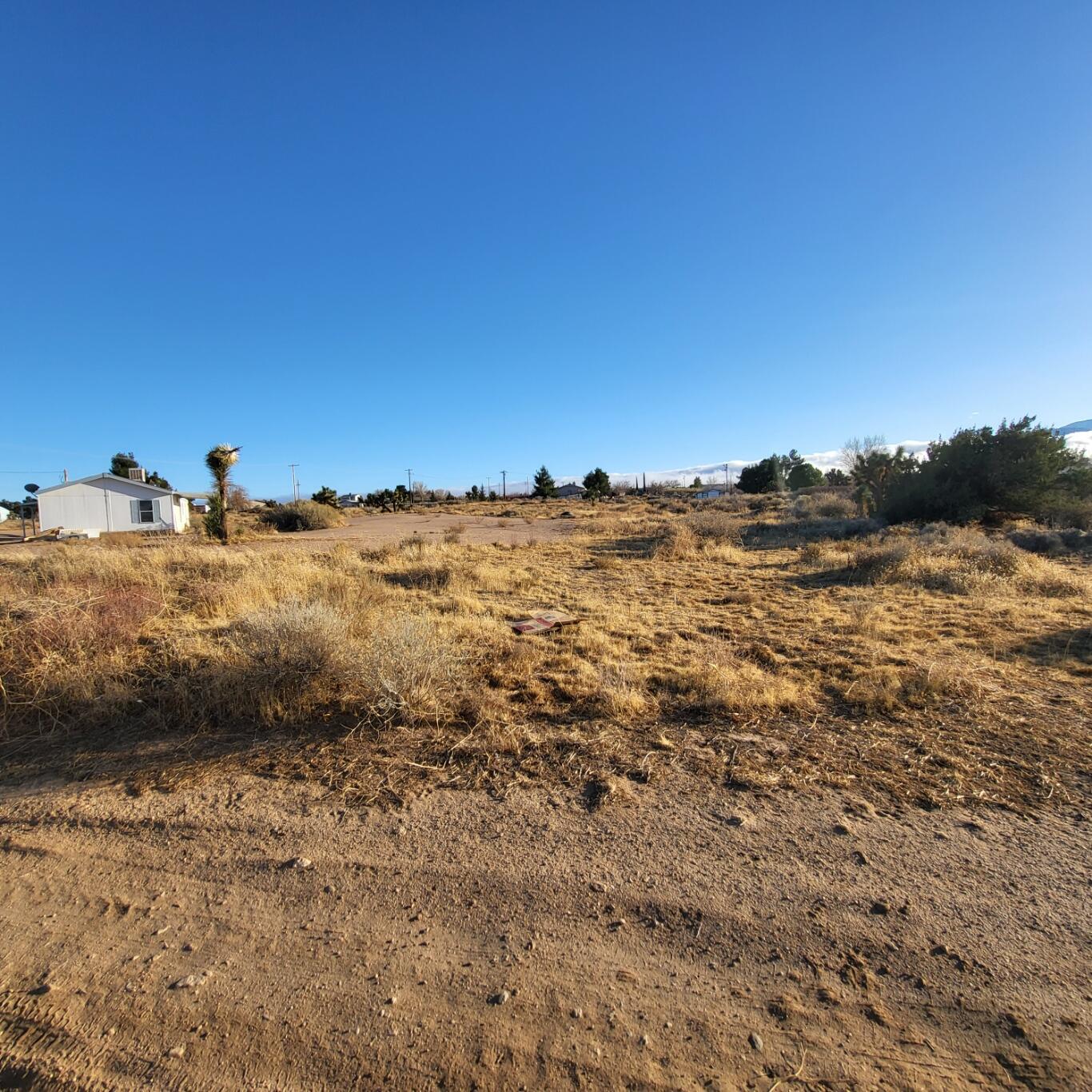 9572 Smith Road Phelan, CA 92371 - Photo 18 of 43 20250205_161501
