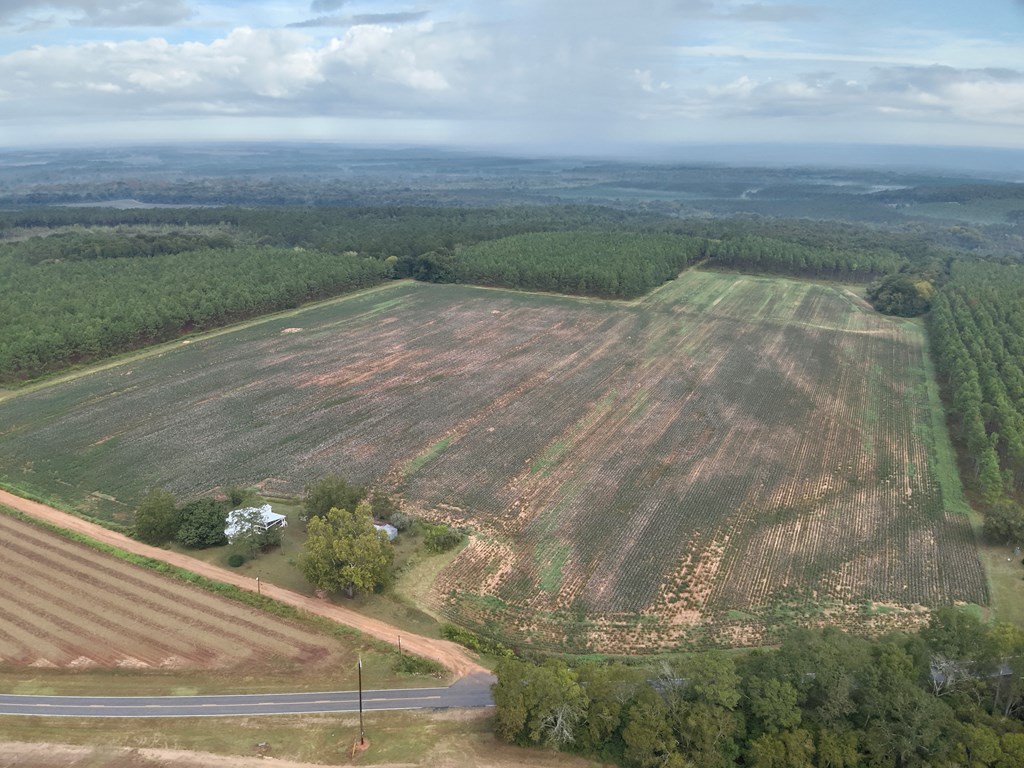 10.5-acres High Bluff Road Hartford, AL 36344 - Photo 2 of 8
