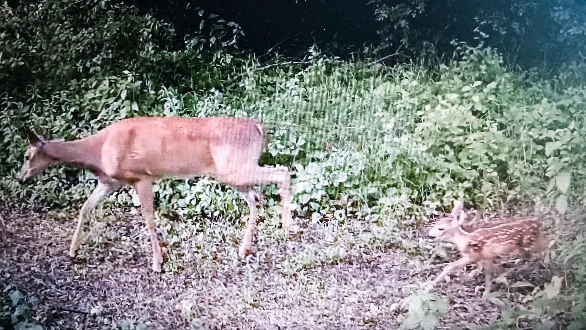 2732 State Highway 9 Ada, MN 56510 - Photo 27 of 30