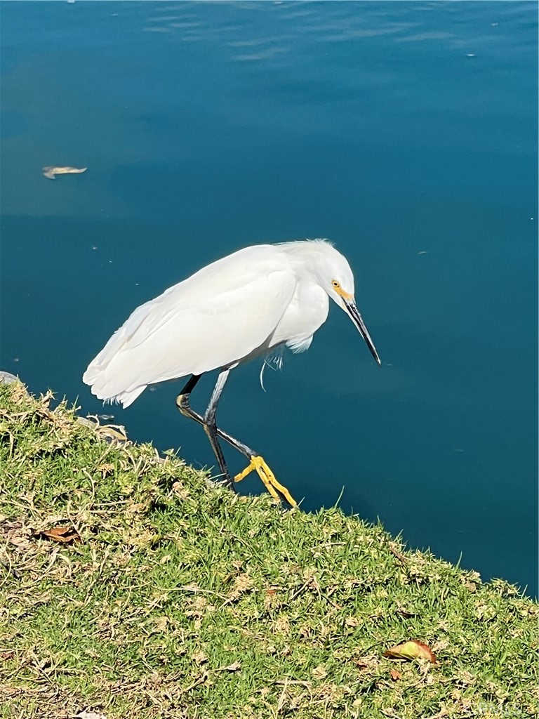 10 Coldstream, Unit 50 Irvine, CA 92604 - Photo 39 of 50 a close up of a table