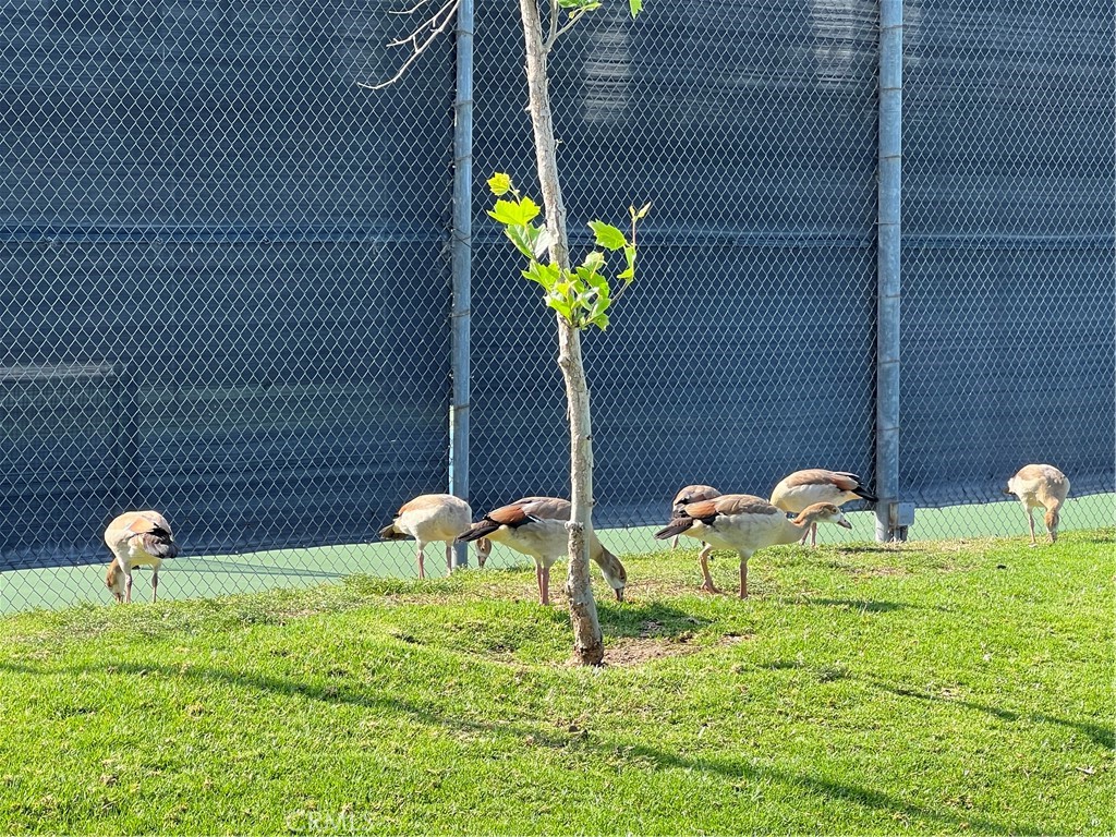 10 Coldstream, Unit 50 Irvine, CA 92604 - Photo 40 of 50 a dining room with furniture