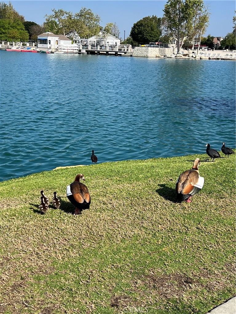 10 Coldstream, Unit 50 Irvine, CA 92604 - Photo 41 of 50 a view of a lake with lawn chairs