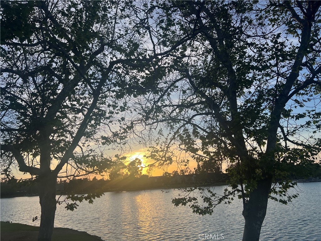 10 Coldstream, Unit 50 Irvine, CA 92604 - Photo 48 of 50 a view of lake from a tree