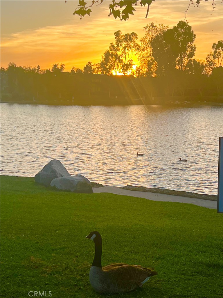 10 Coldstream, Unit 50 Irvine, CA 92604 - Photo 49 of 50 a view of an ocean from a beach