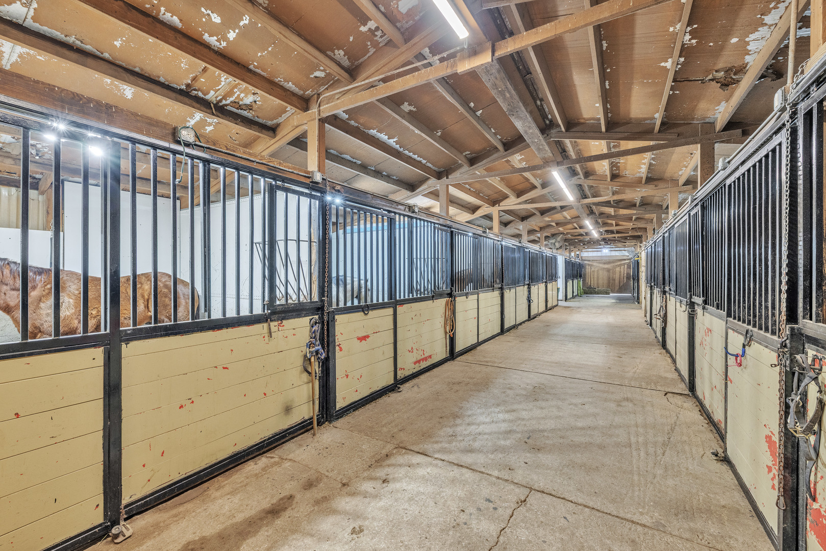 13745 West Bruns Road Manhattan, IL 60442 - Photo 13 of 55 a view of empty room