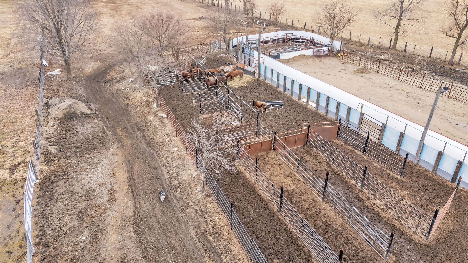 13745 West Bruns Road Manhattan, IL 60442 - Photo 42 of 55 a view of balcony with wooden floor and fence